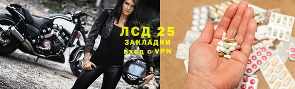 стаф Алексин