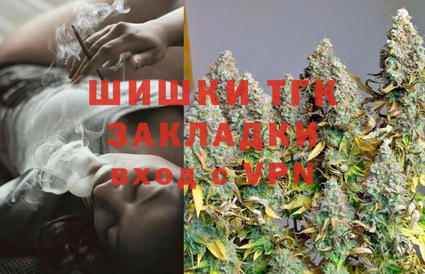 стаф Алексин