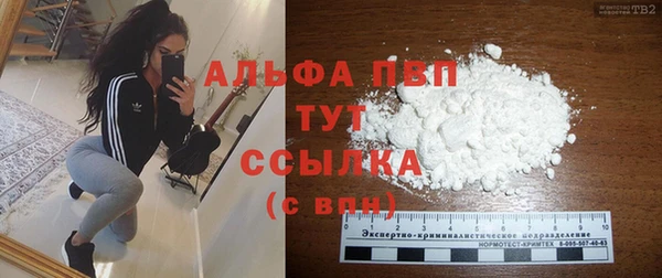 стаф Алексин